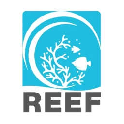REEF のアイコン